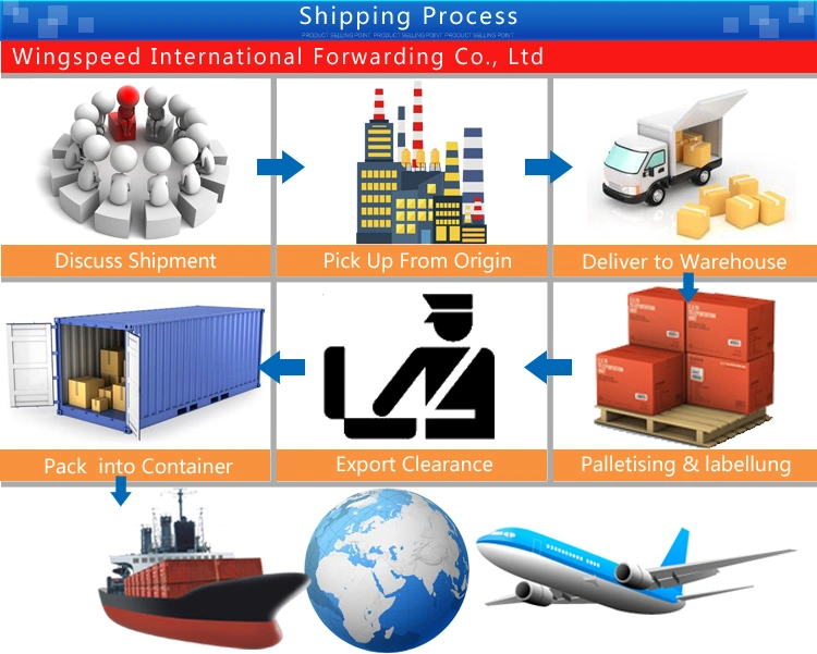 Professional Sea Freight Shipping Freight Forwarding Service From China to Philippine