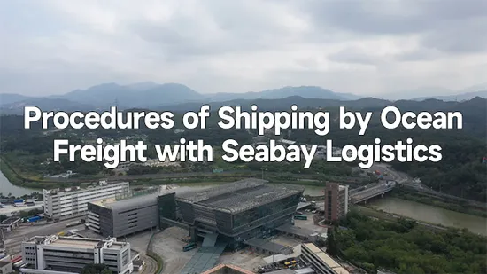 브라질 산토스 통관 서비스