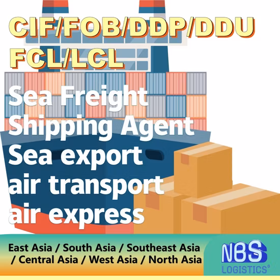 FCL LCL 통관 육상 철도 운송 DDU DDP 해상 운송 화물 Pipavav 인도 파키스탄 해상 해상 운송